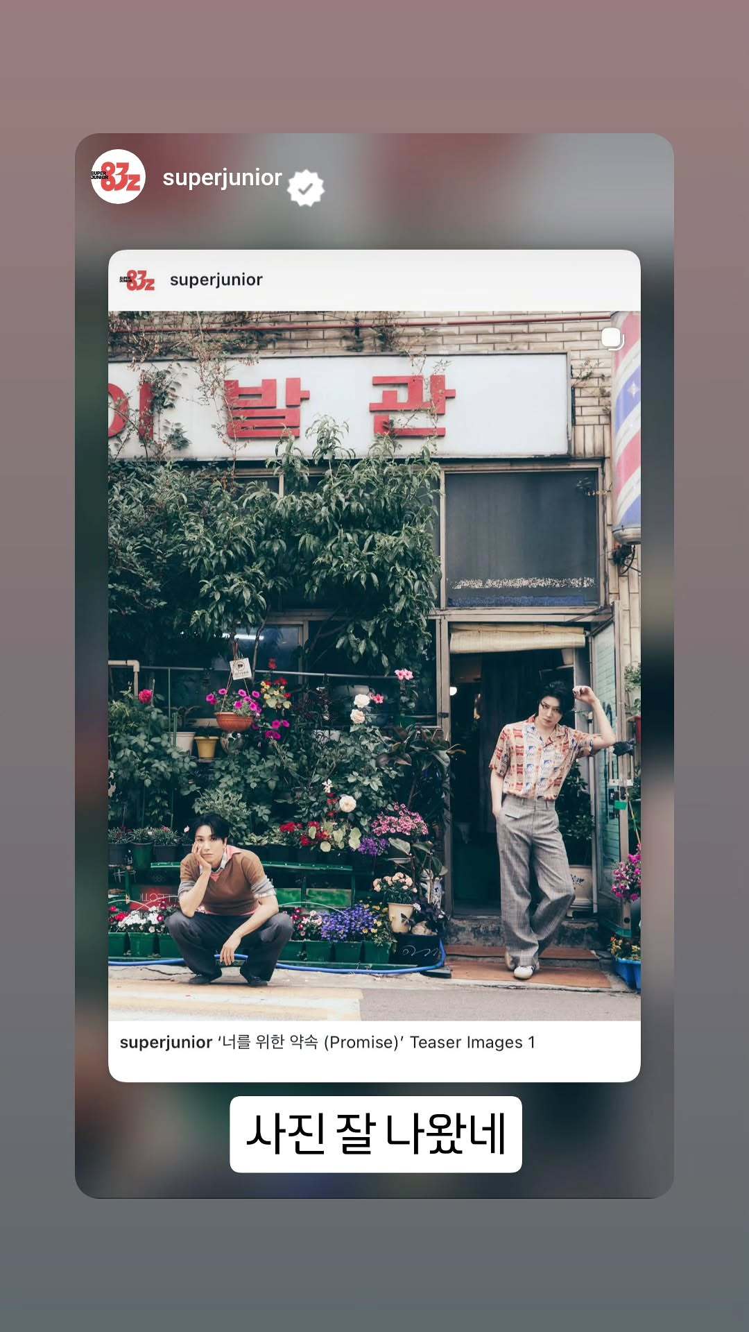 “CB百蓝_。260706金希澈 ins story更新：照片拍得很好看呢 