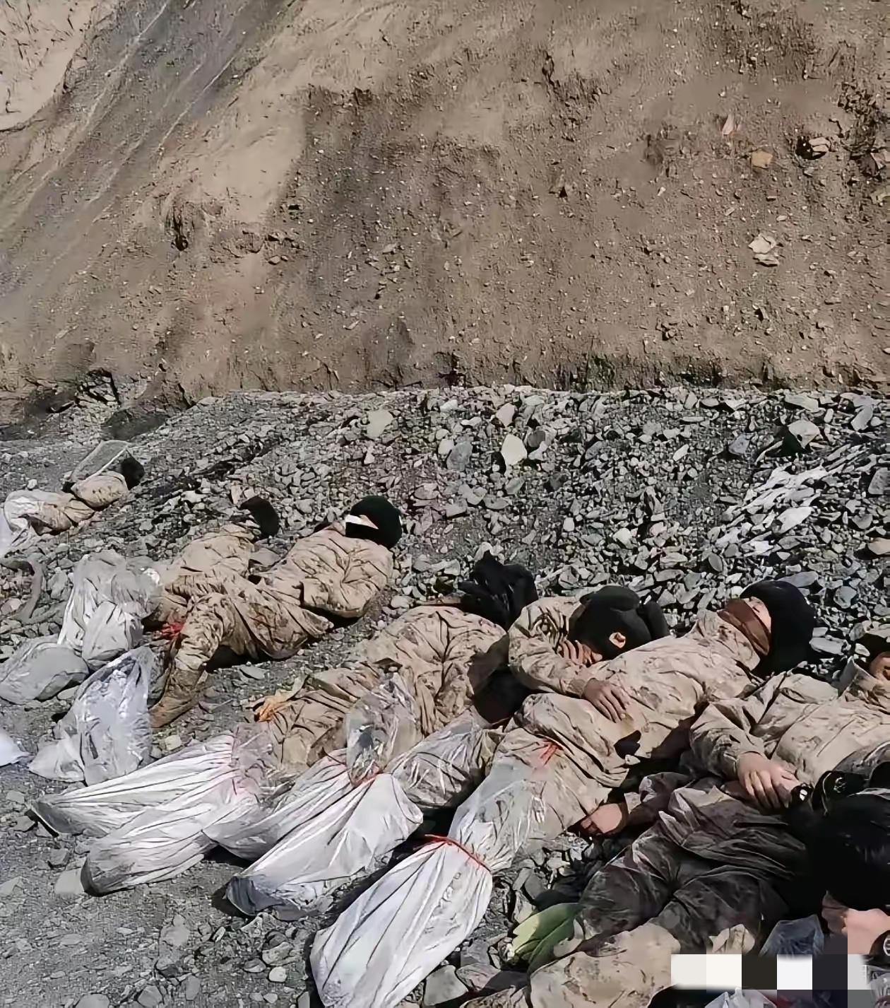 他们以大地为枕，
以天为被，
守护着这片净土。
就想到那些在祖国边境默默坚守的守