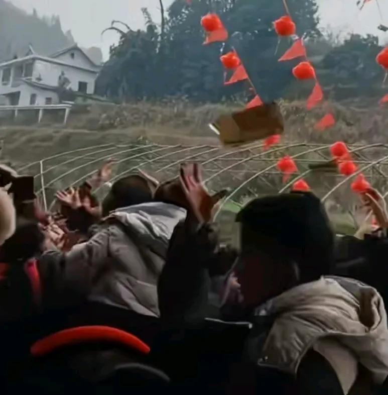 新人结婚撒红包，众人争抢，结果下一秒新娘自己也上去抢，这是条件反射，
有钱当然抢