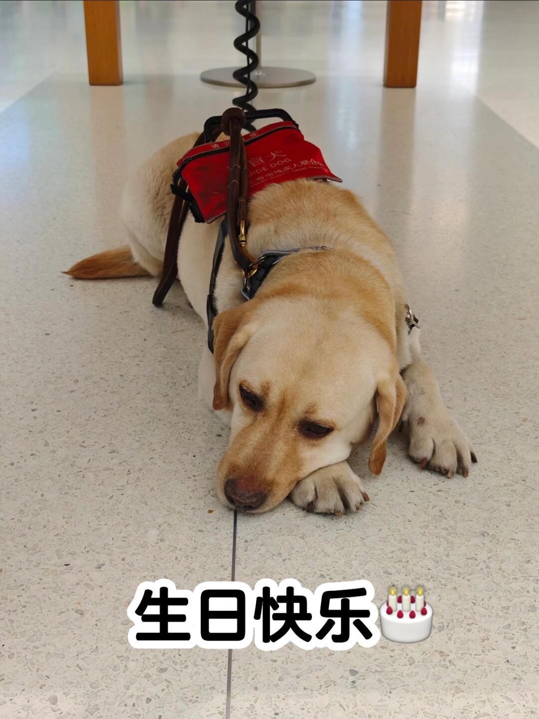 四十同堂 Apple五角场 开幕10周年啦🎂R581 Apple五角场中国第4