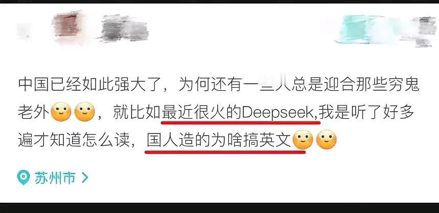 deepseek被绝杀般质疑了！有人质问，为啥它非要用英文名，不用中文名？这是软