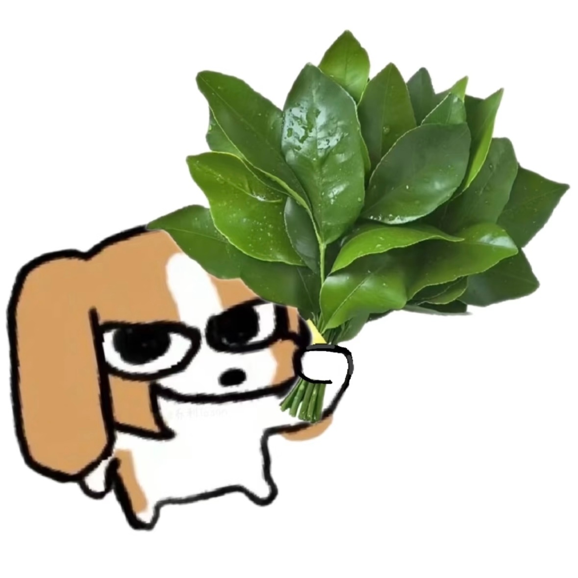 替宝宝跨一下 ​​​