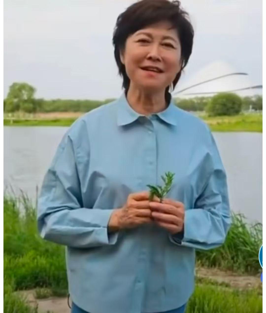 敬一丹去世后，我翻了她公众号。

从6月到9月，她躺在病床上，公众号发了6篇文章