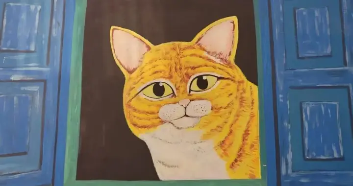 章泽天困在“少女”里