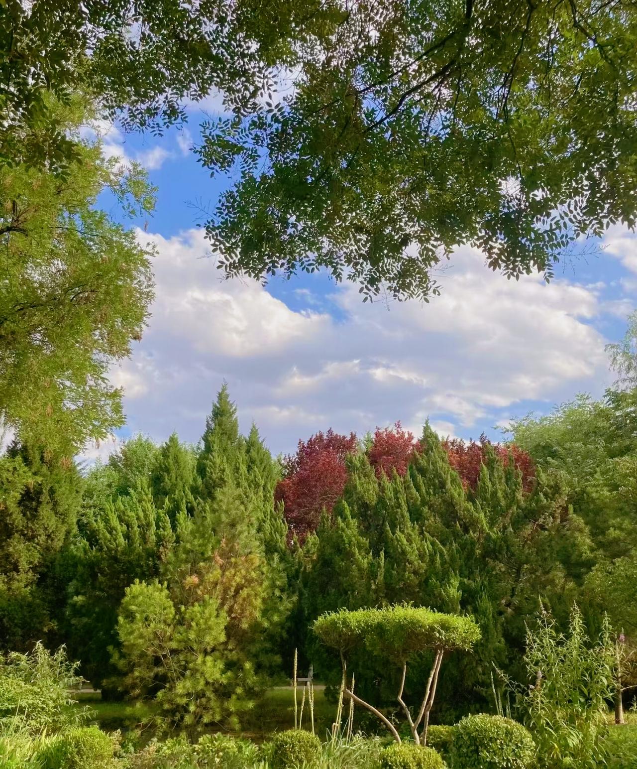 现实的话：
“性欲是人的生命力，古往今来那些很厉害的人物，他们的生命活力都是特别