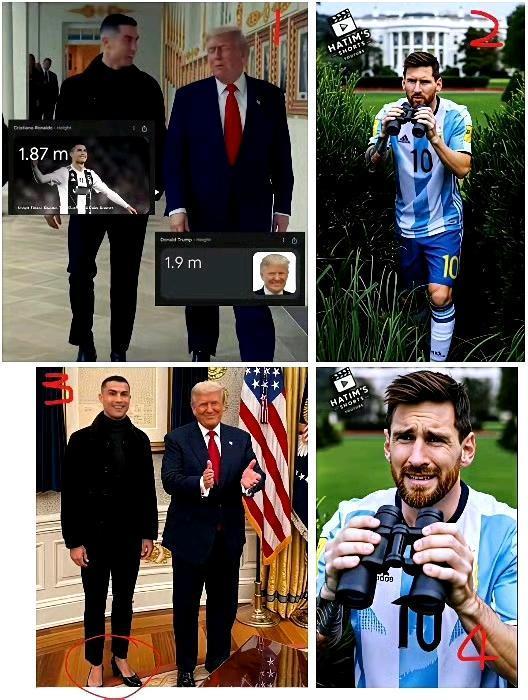 谁是体系球员一目了然……
C罗离开皇马加盟尤文1亿转会费：134场101球20助