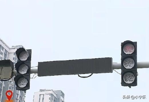 山东荷泽，牡丹花造型的红绿灯真是一眼惊艳！一抬头，就发现这座城市的浪漫，瞬间让人