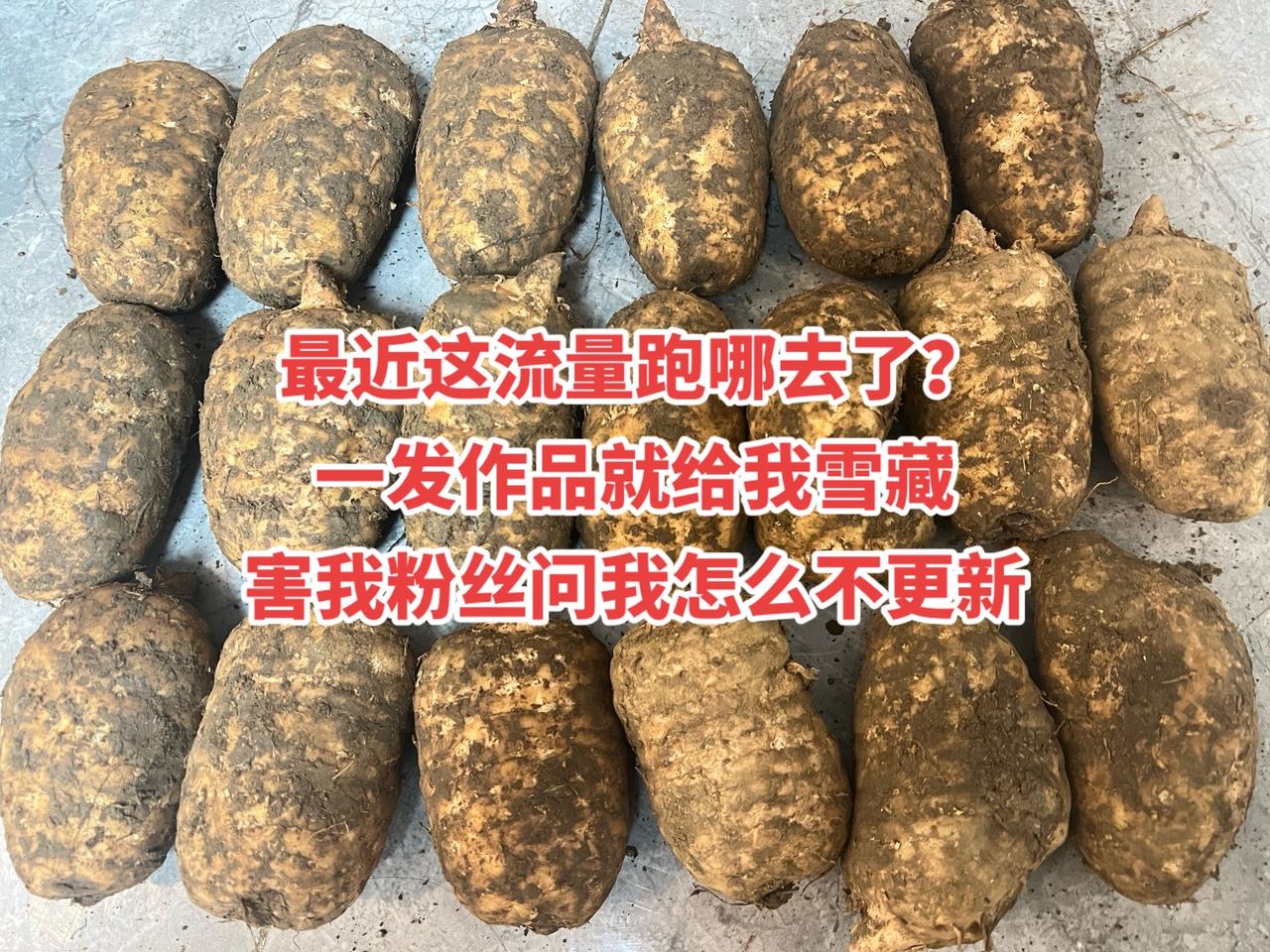 反正拍视频也不给推荐，索性摆烂只发图片，省时省力