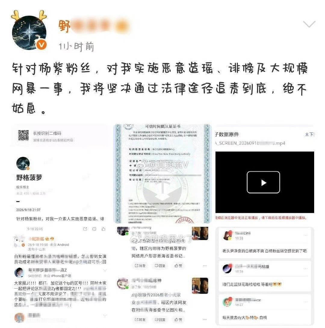 白鹿粉丝说什么呢？谁🧼💊？[doge]白鹿红秀高定封面 ​​​