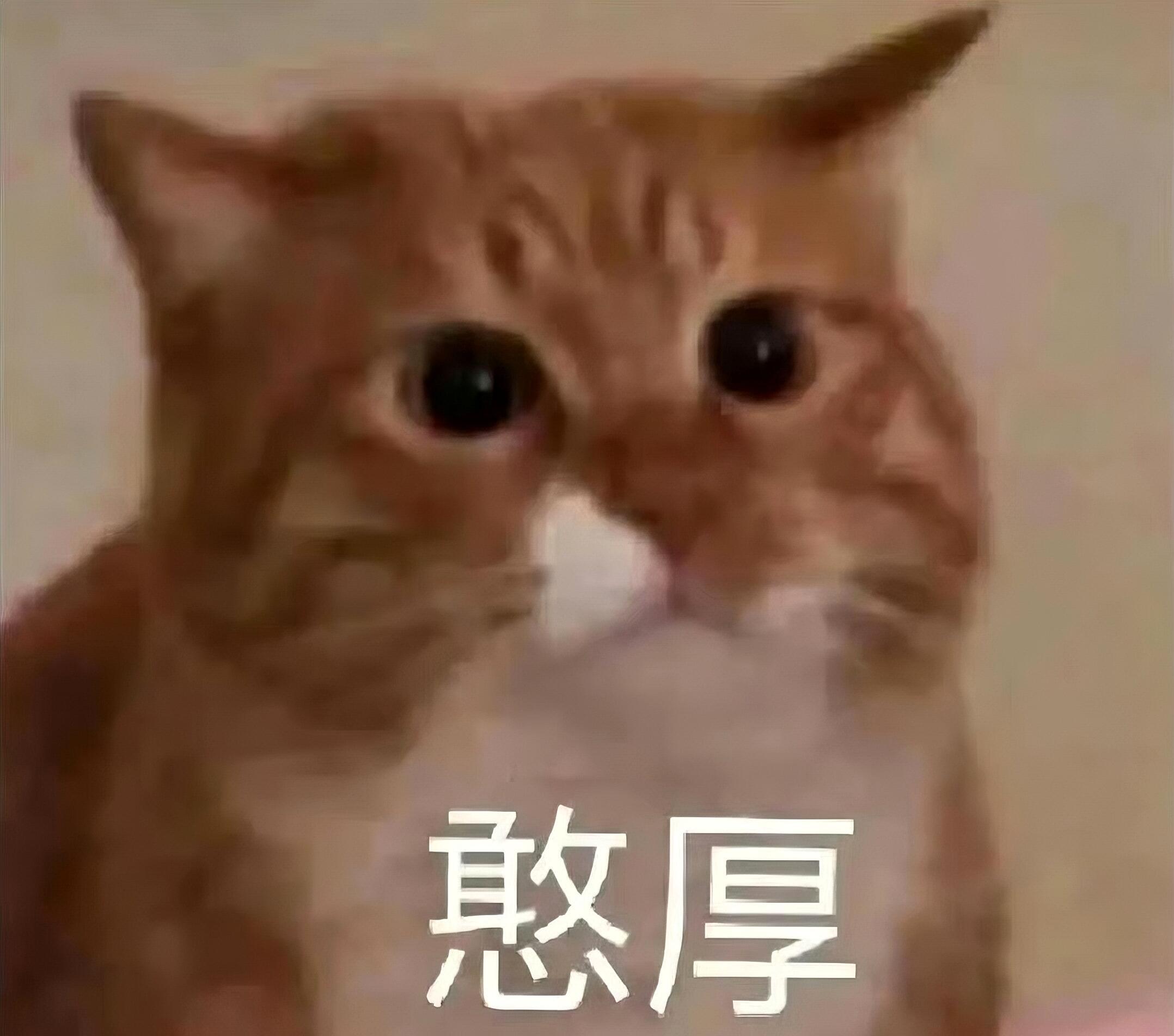 每个孩子带3斤五花肉去幼儿园能不能帮我腌，我出10斤五花肉 