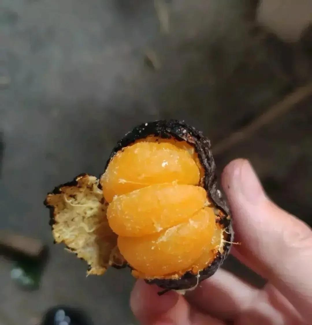 发现一款超级好吃的