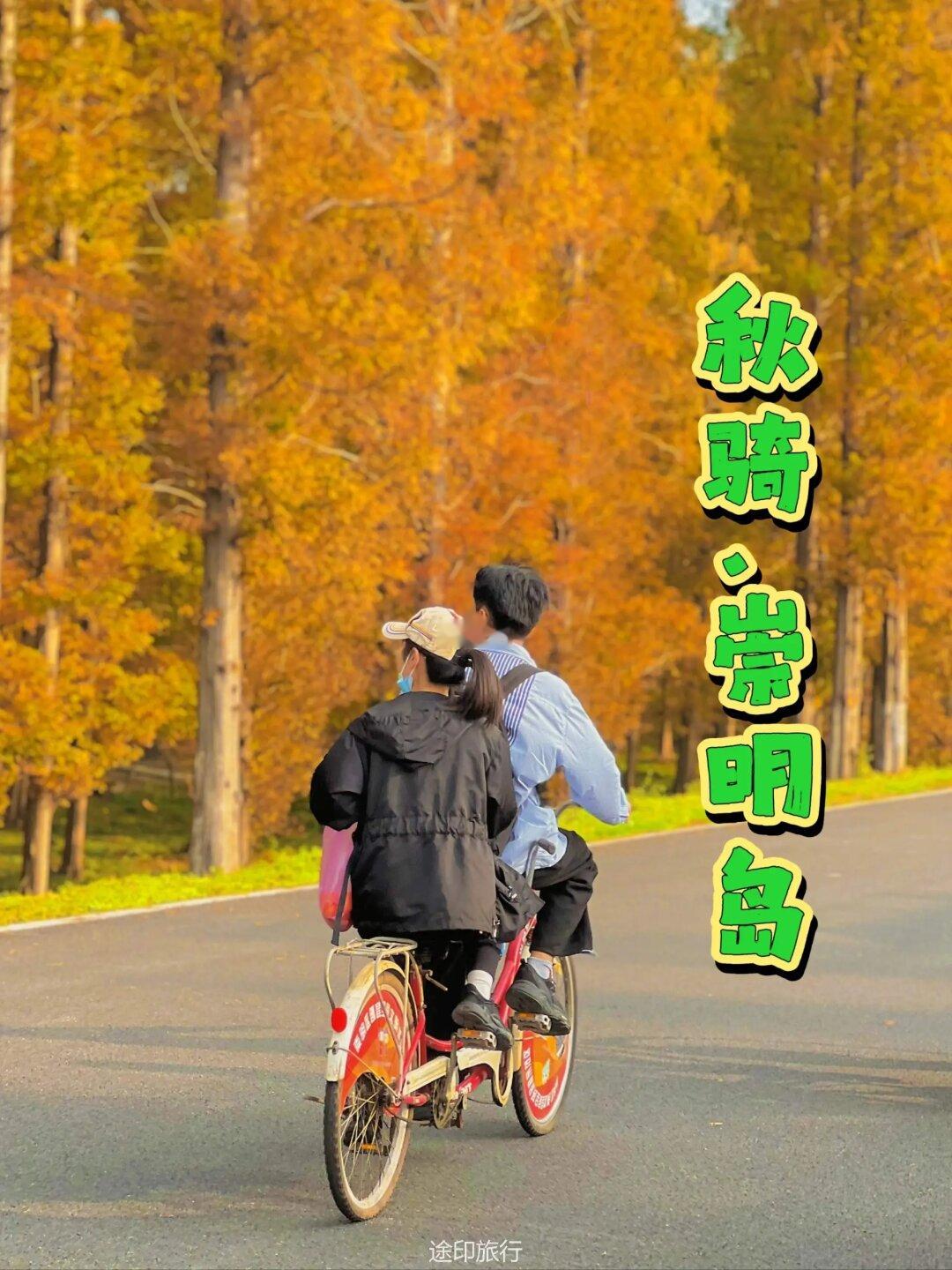 上海近郊徒步骑行｜崇明岛西沙湿地赏秋