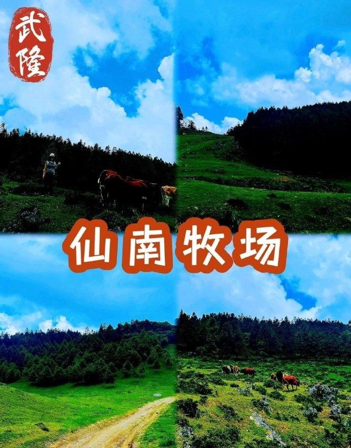 【武隆仙南牧场徒步攻略 】
难度：⭐️
推荐：⭐️⭐️⭐️⭐️⭐️
徒步在海拔1