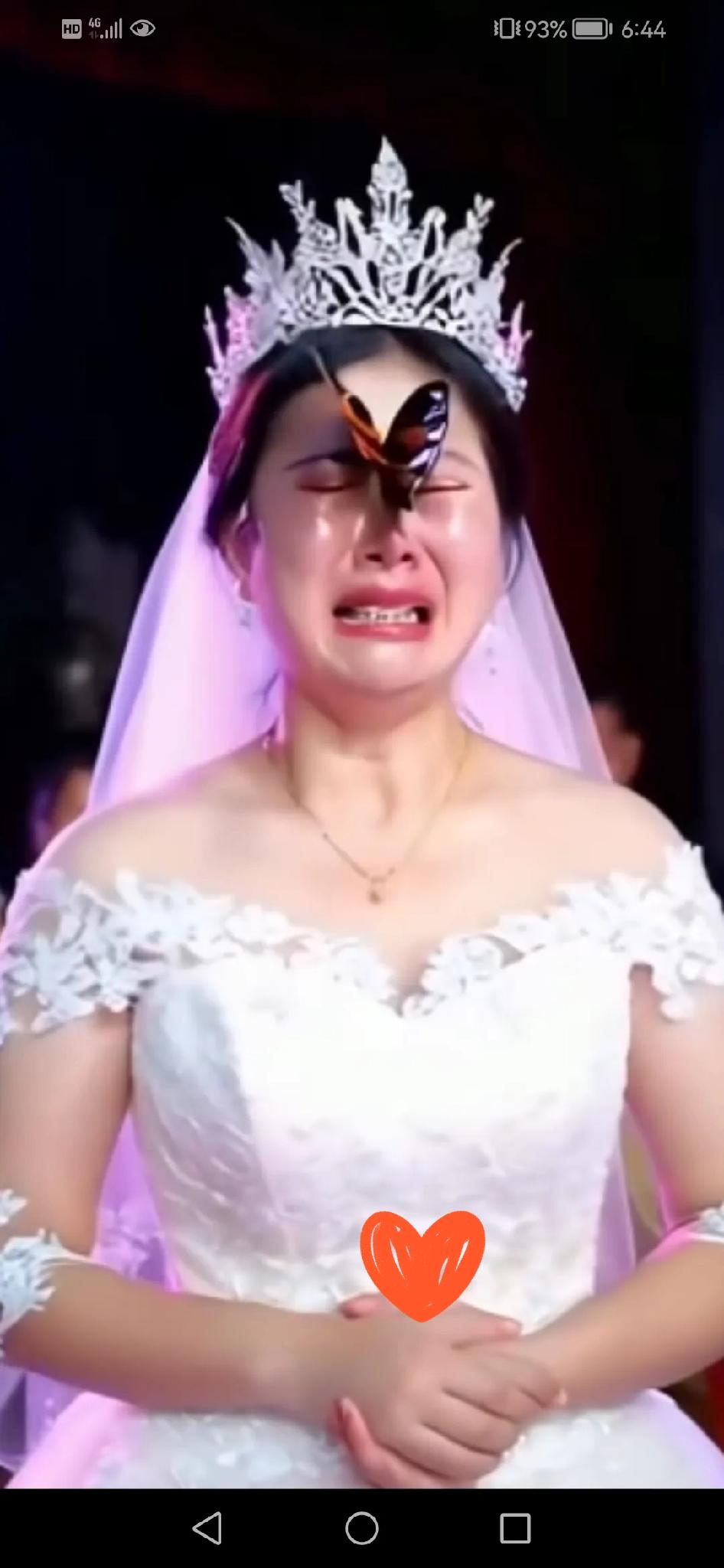 泪奔，看哭了，大婚当天，一只蝴蝶突然停在新娘脸上。新娘瞬间泪崩，哽咽呼喊：“奶奶