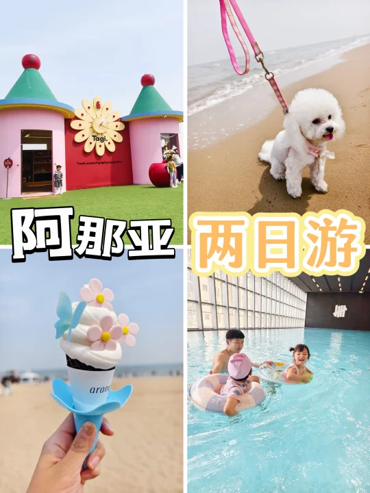 阿那亚两天一夜行程安排🏄🏻‍♀️玩个明白