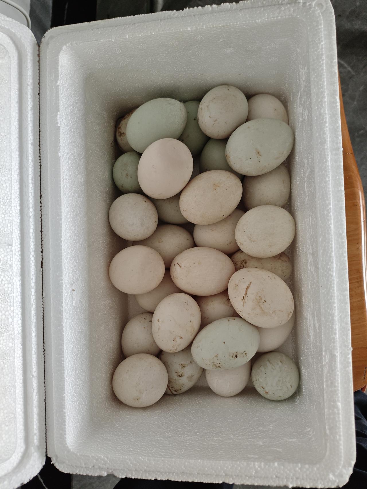 晒出家中美食老家帶来的放养鸭蛋，个头大又新鲜，二个鸭蛋加西红柿炒了一大盆