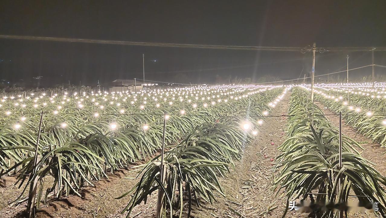 这两天在昆明的郊县，一个少数民族自治县，具体哪一个就不说了，免得被人说地域黑。