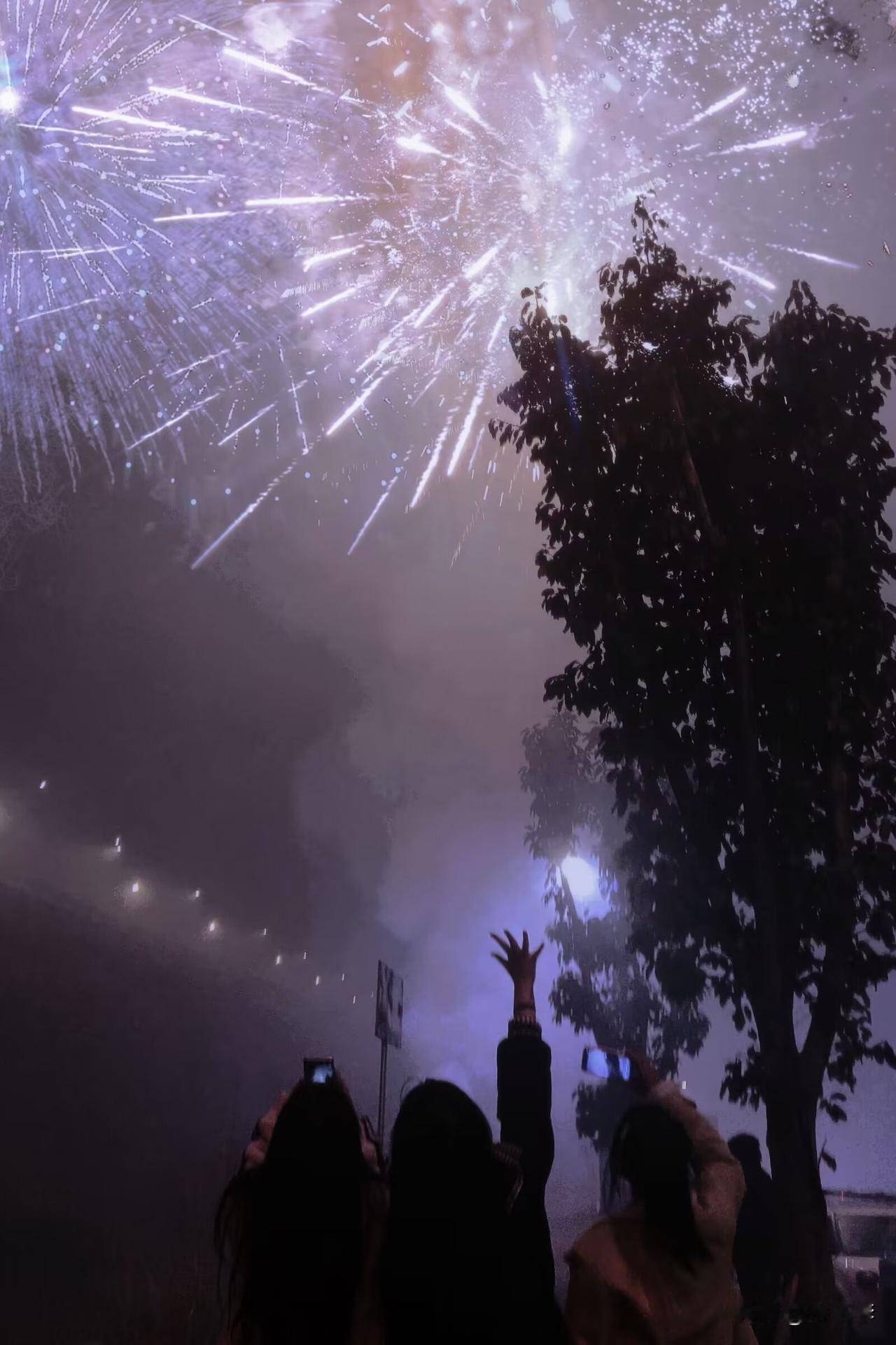 冬日生活打卡季东风夜放花千树，更吹落星如雨！