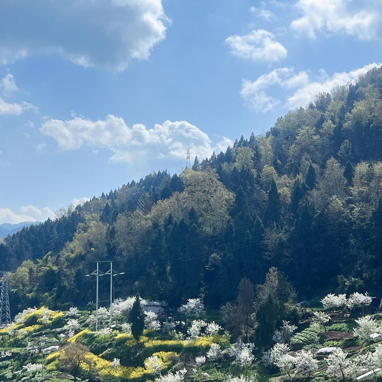 随手拍一张天空照