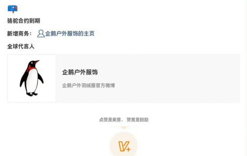 因为骆驼代言，杨颖迪丽热巴粉丝在交流 ​​​