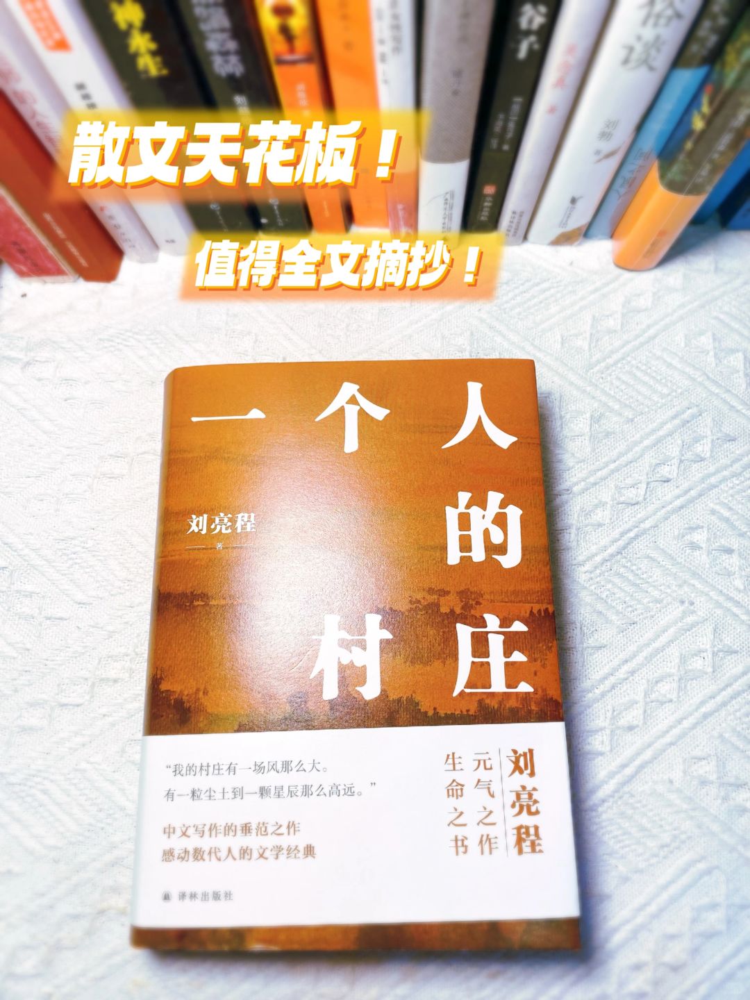 📚文笔绝了❣️我愿称之为人生必读散文集‼️