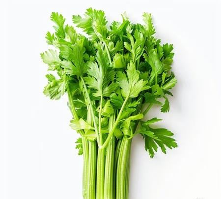 芹菜叶子当然能吃，而且营养还挺高！很多人做菜时只取芹菜茎，把叶子扔了，太可惜。有