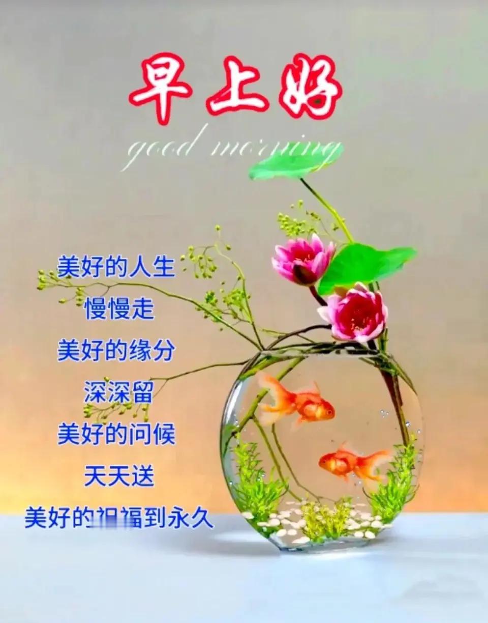 早上好，愿大家开开心心，健健康康，好运连连，幸福满满[送自己一朵花][送自己一朵