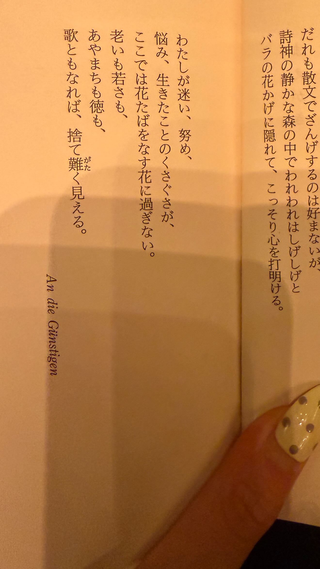 新田桃子读书 