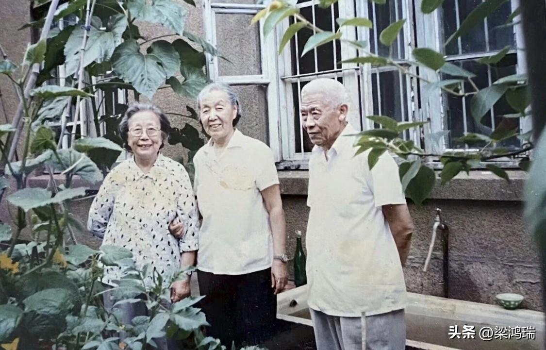 这两张照片拍摄于1990年7月5日，记录了三位老人在庭院中的温馨瞬间。照片中的人