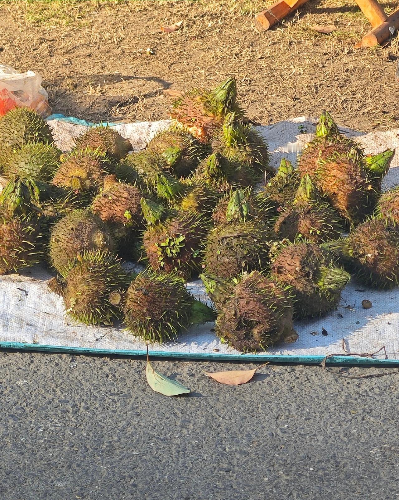 猜猜这是啥东西？早上去菜市场买菜，看到有人卖这个东西。