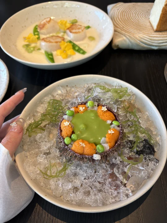 在上海，花了388吃的漂亮饭