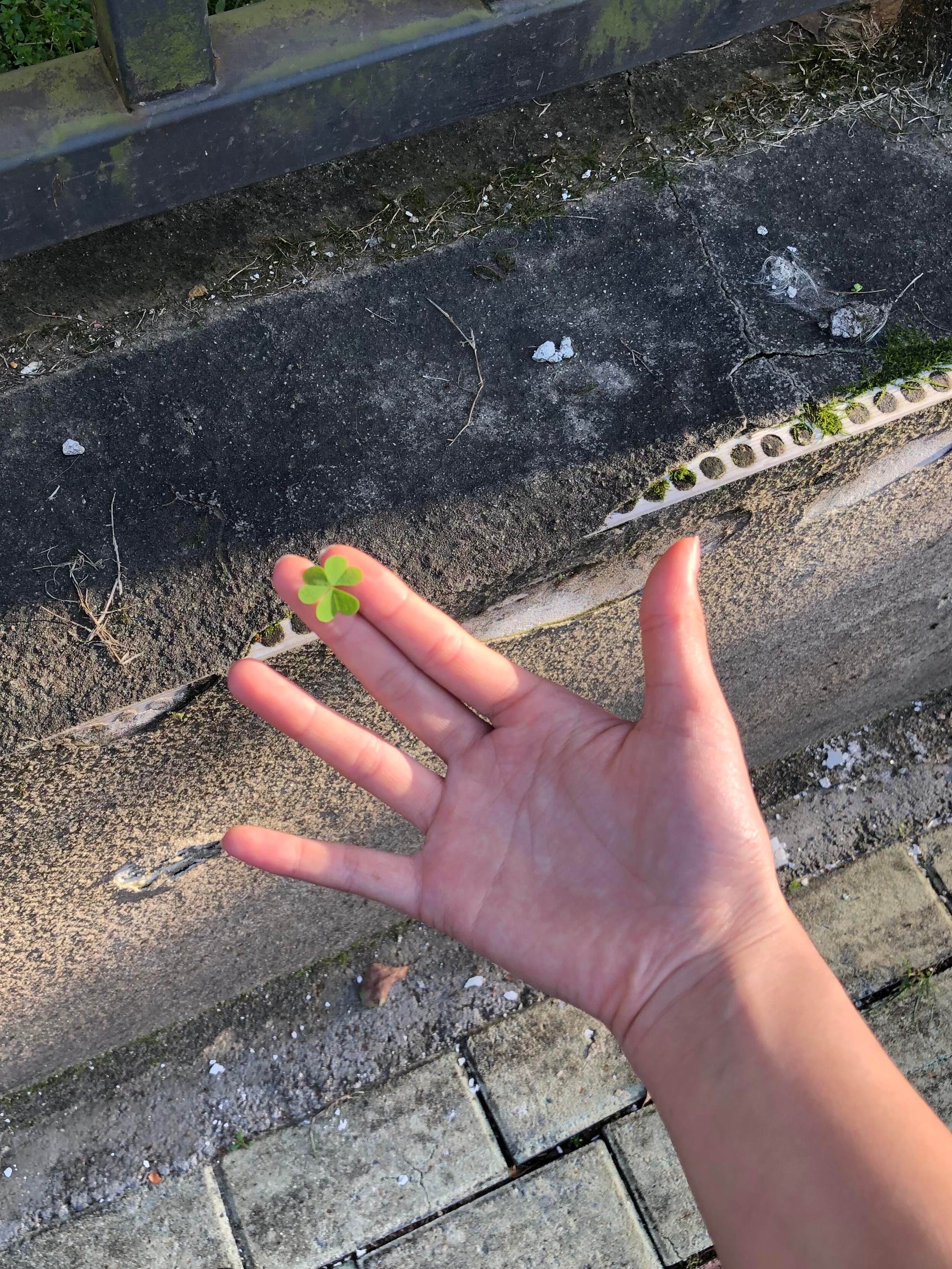 少与人纠缠,多亲近大自然。 