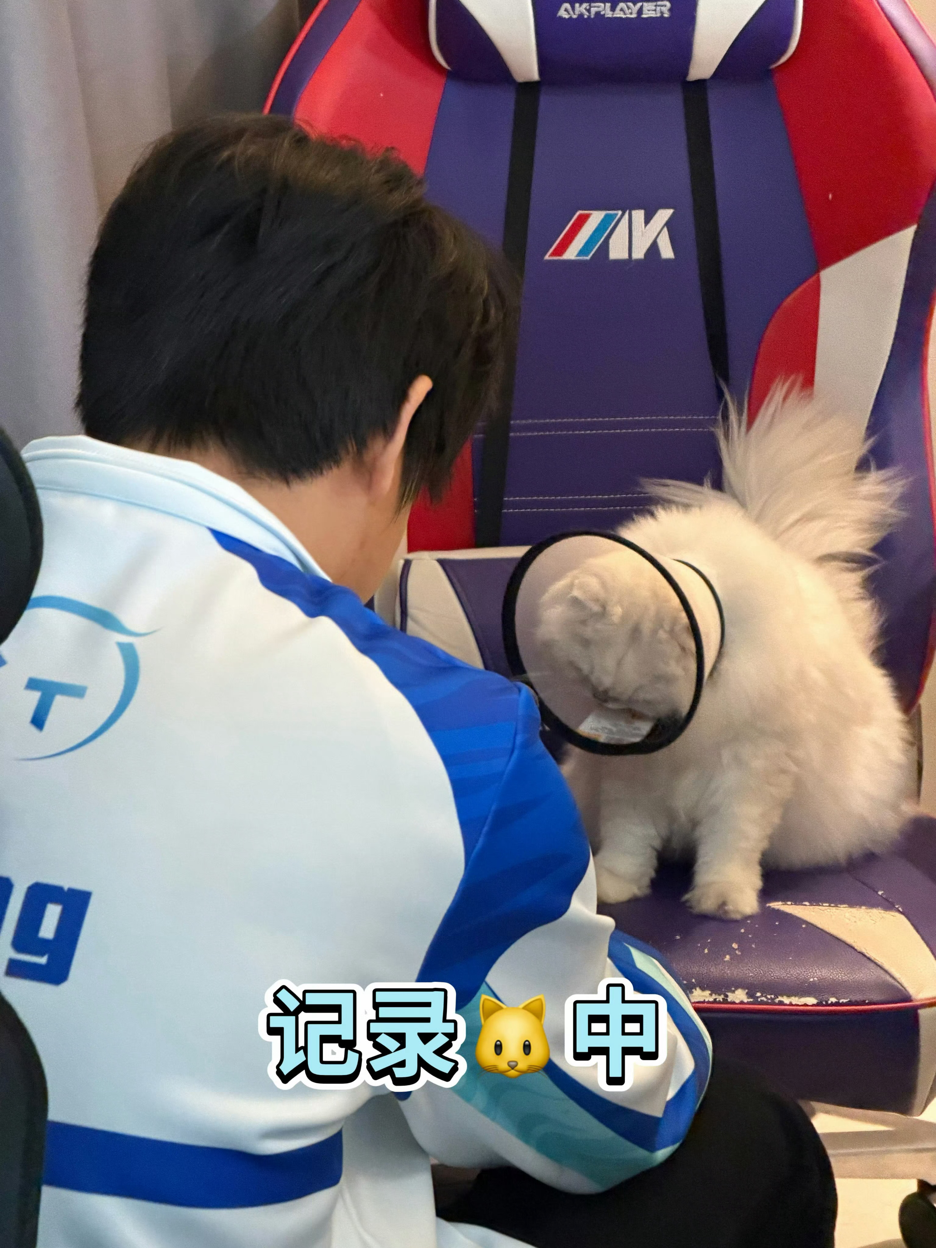 TT和平精英  常规赛碎片来啦🧩2026pel春季赛2026pel