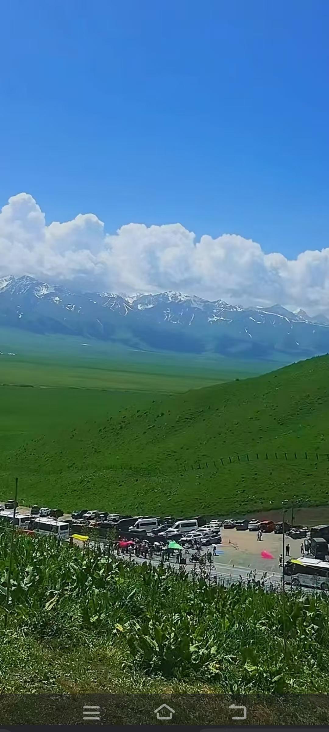 你想去草原上骑一次马吗