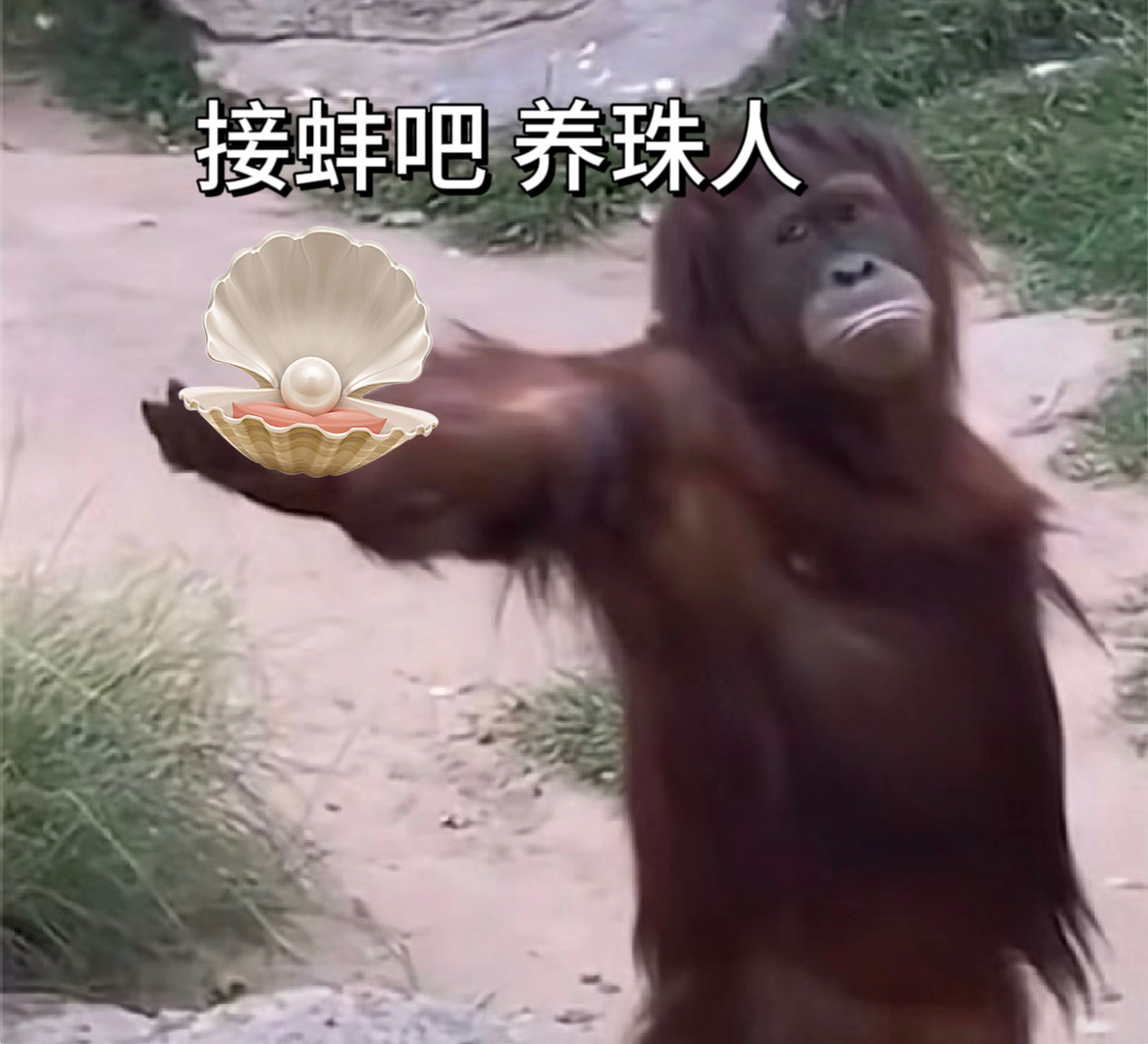开蚌取珠是更适合咱们中国宝宝体质的盲盒吧！强烈建议i盲盒人们去开珍珠，既能感受学