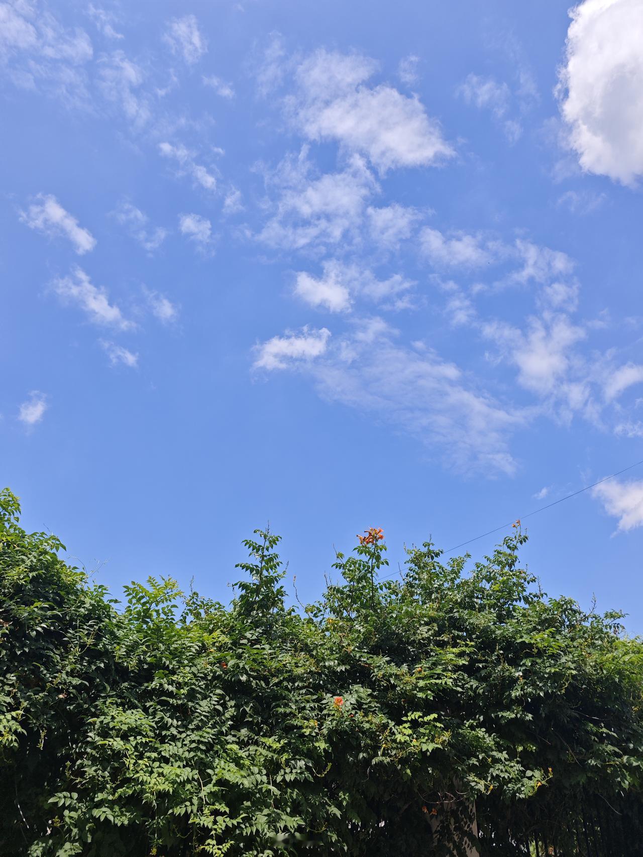 宝，和你
从初遇走到两鬓斑白
万般柔情皆付一人
你恋你眉间弯弯笑
我依你宽宽肩膀