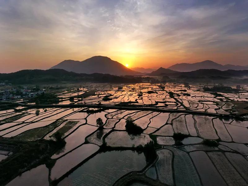 《如诗如画》
旭日东升洒晨光，
斜阳余晖披彩装。
秋风卷叶离技落，
春露催花送暗