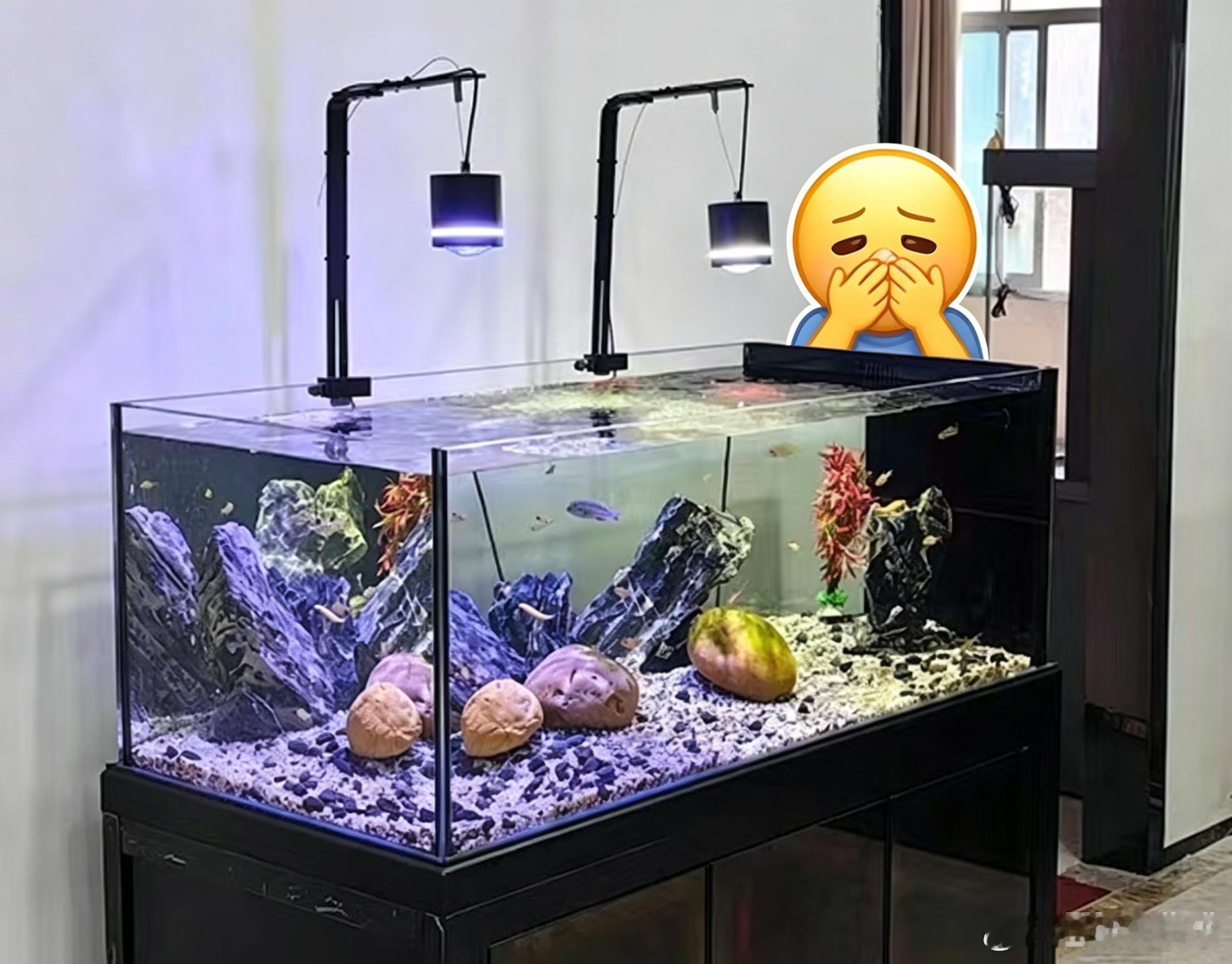 郑恺刘浩存5G冲浪聊热梗九宫格带你看完消失的人 郑恺刘浩存5G冲浪名场面，刘浩存