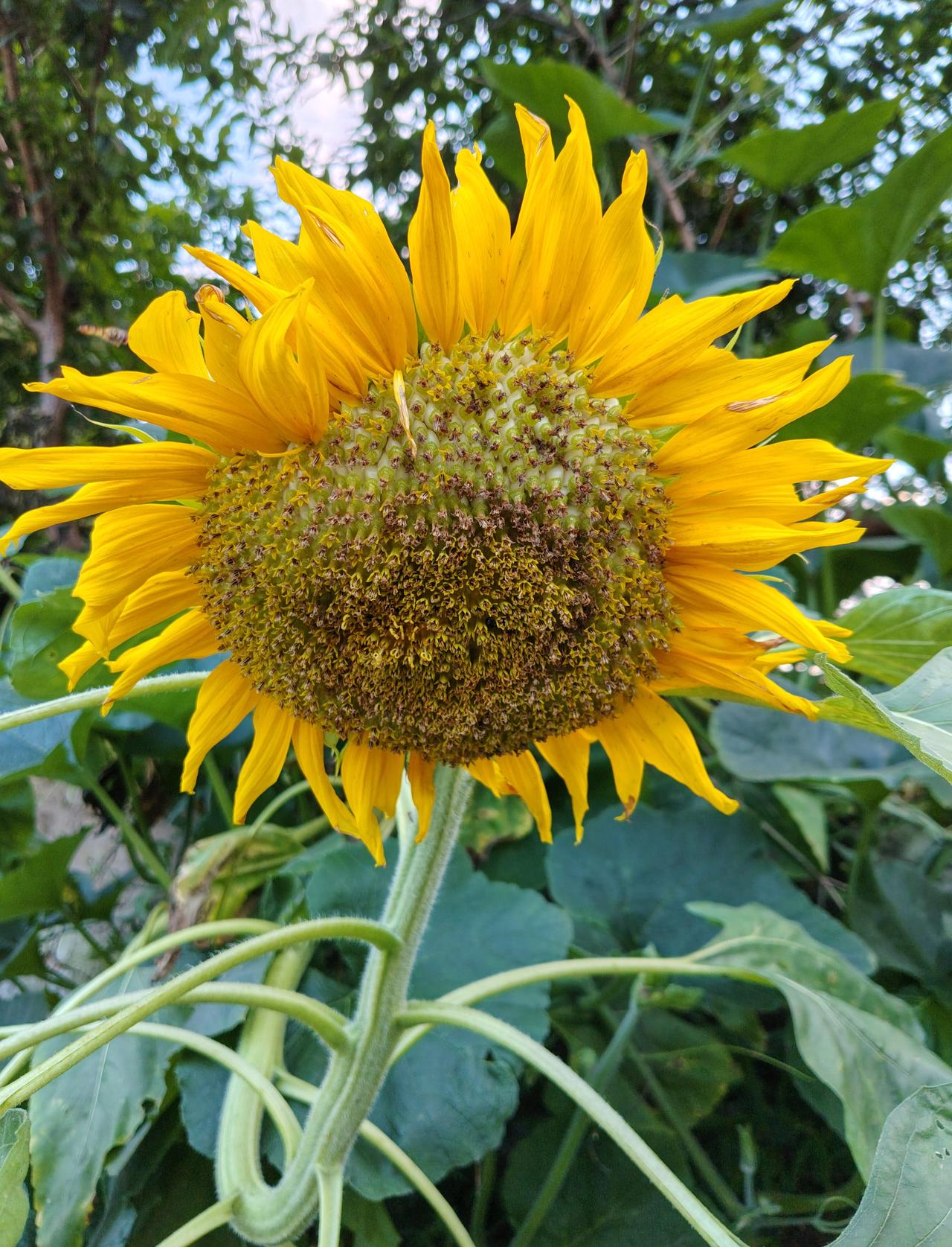 夏日生活打卡季