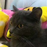 燕团热读社会