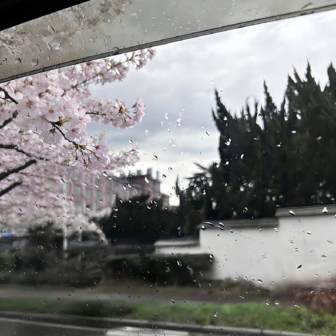 小众风格𝗪𝗲𝗰𝗵𝗮𝘁背景图.ᐟ‪.ᐟ 盛夏壁纸大放送动漫仲夏狂欢季