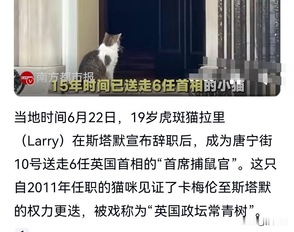 猫的寿命长还是狗的寿命长？

直到看了6月25日的热搜，19岁小猫已送走6任英国