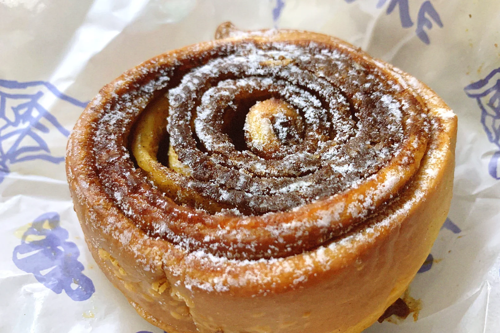 十点是集体统一拉💩的时间吗