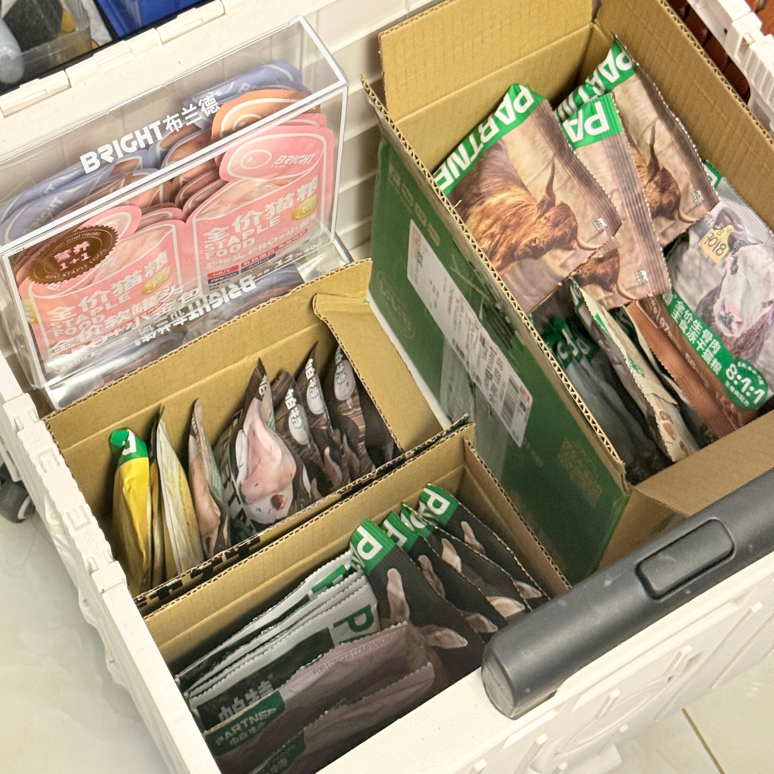 完全强迫症 