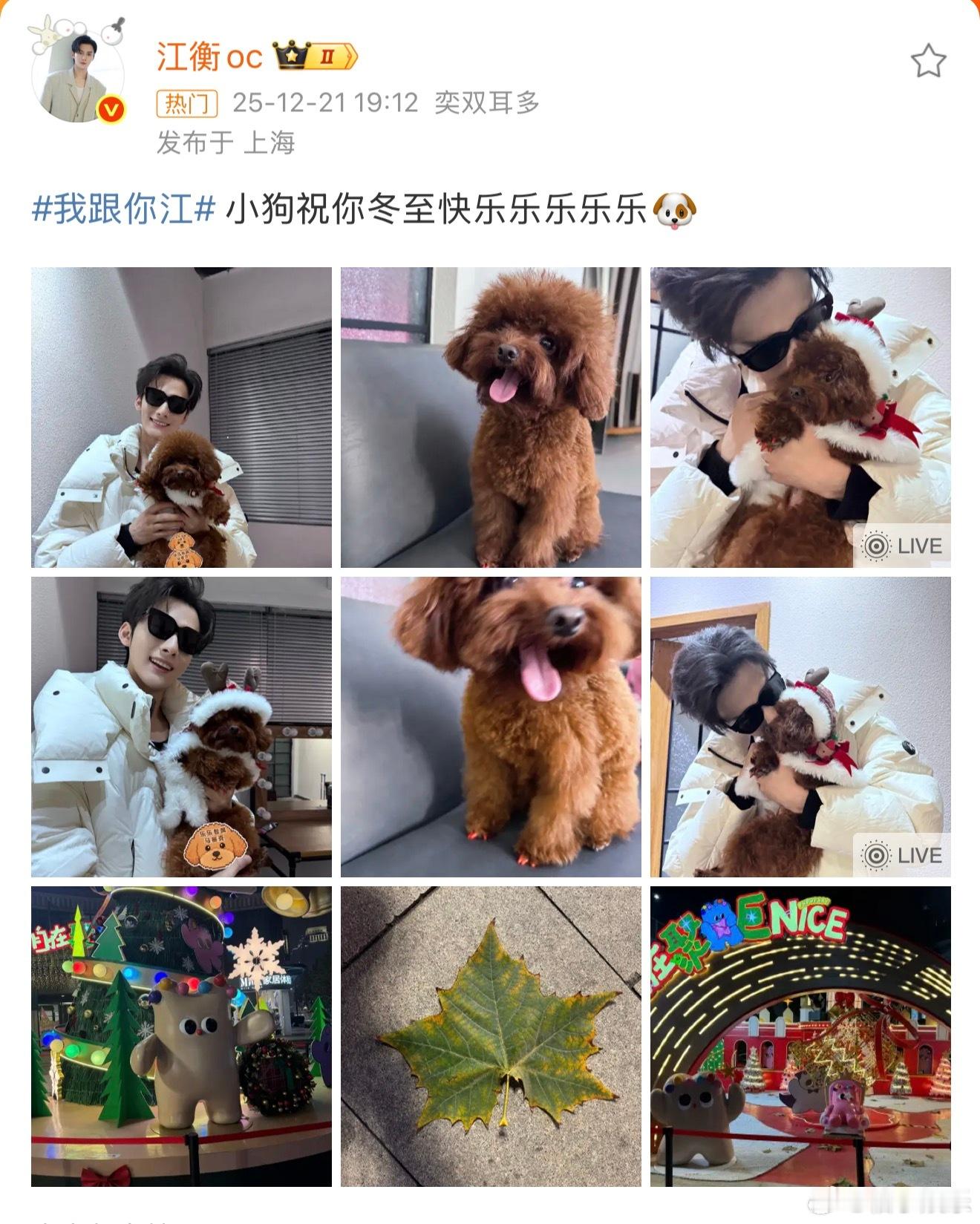 李沛恩回复江衡李沛恩回复江衡：保护乐乐隐私！义不容辞哈哈哈哈哈哈 