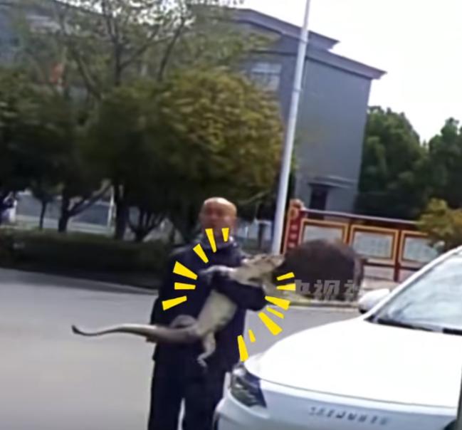 真是活久见！一位钓鱼爱好者正在河边享受垂钓之乐，没想到一场“无妄之灾”从天而降！
