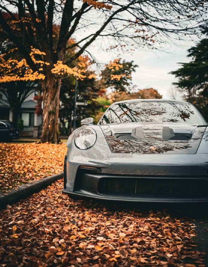 不得不说，那 911 GT3 RS 可太有韵味啦！它就那么静静地穿过那一道道金色