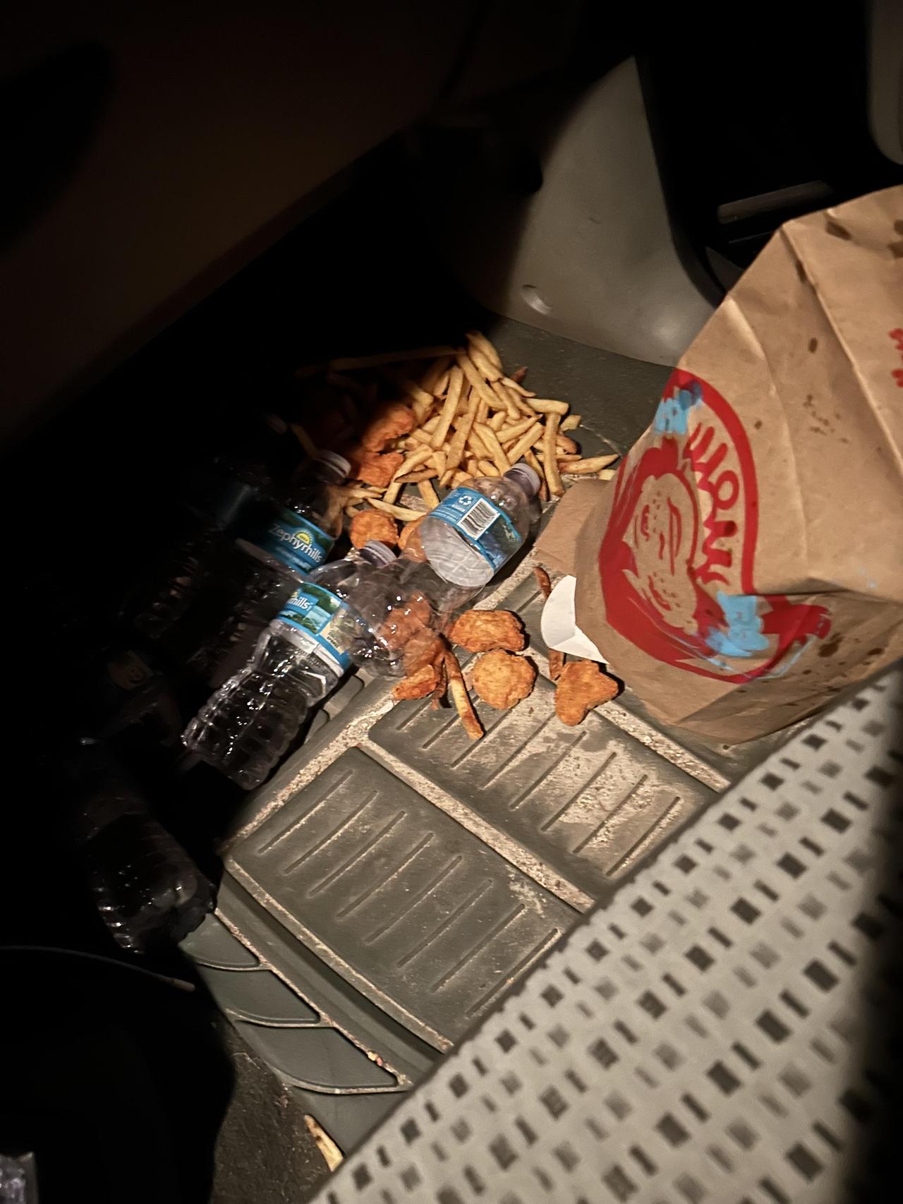 急刹车躲鹿，20美元的温迪汉堡全洒了。