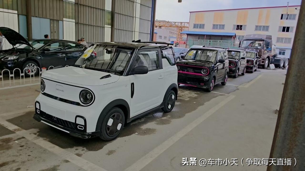 小马、熊猫和五菱宏光MINI今年的销量断崖式下跌！这几款车在去年每月的销量都有1