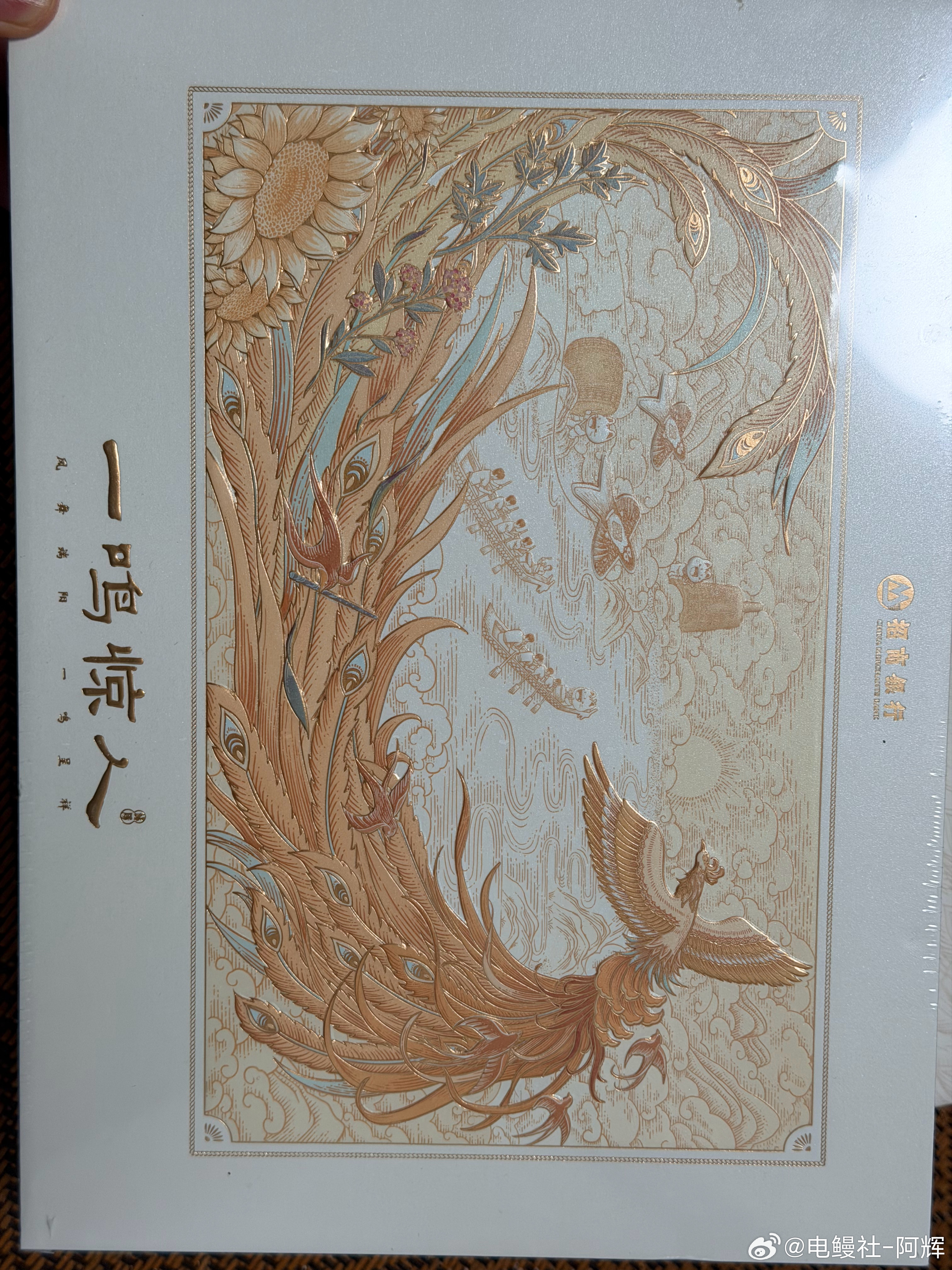 听说晚上可以观赏英仙座流星了，那祝我的粉丝们都爆富，晚上给大家抽个奖，安排一个金